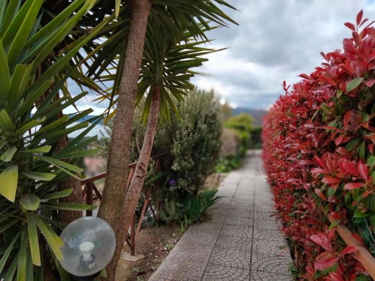Sguardo Sul Lago Trevignano Romano Dış mekan fotoğraf